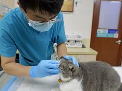 -美联众合动物医院·24h转诊中心
