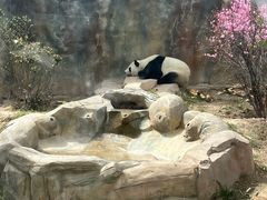 -青藏高原野生动物园