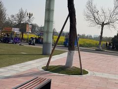 -国际非物质文化遗产博览园