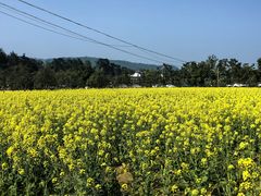 -韶山毛泽东同志故居