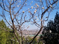 -北京凤凰岭