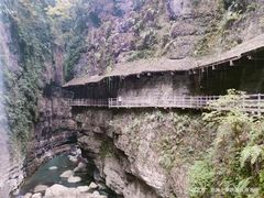 -恩施大峡谷