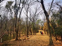 -岳麓山风景名胜区