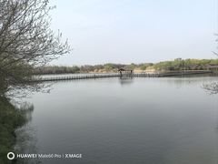 -溱湖国家湿地公园