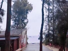 -大京沙滩