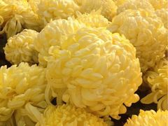 iphone_upload_pic-中国翰园碑林