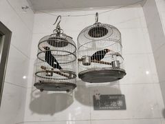 -大邑李记肥肠血旺