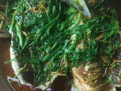 -黄家菜园农庄