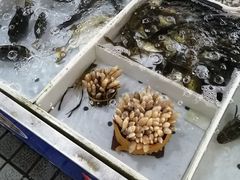 -十四涌水产中心