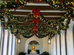 -环球影城莲花园 The Lotus Garden Universal Studios 