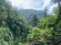 -凤凰山国家森林公园