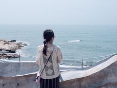 -广东惠东海龟国家级自然保护区