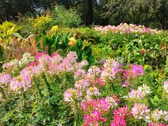 -国家植物园南园