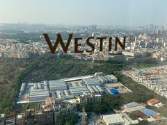 -广交会威斯汀酒店