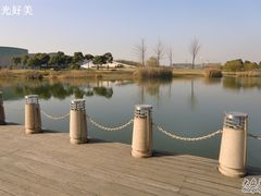 -新江湾城公园