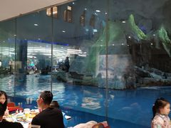 -帝企鹅自助餐厅•儿童岛•真企鹅(长隆企鹅酒店)