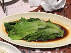白灼西生菜-小鹅皇港式餐厅(新抚万达店)