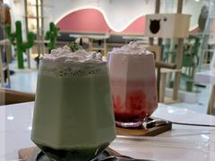 -喵园·猫主题咖啡厅·撸猫·猫咖(国贸店)