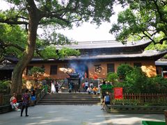 -普陀山风景名胜区-法雨禅寺