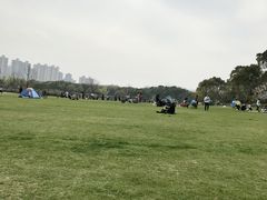 -昆山城市生态森林公园