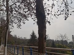 -金海湾滨江公园