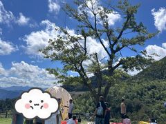 -天姥山景区