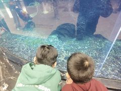 -OPEN開全日自助餐厅·牛肉火锅·海鲜(佛山希尔顿酒店)