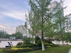 -西北湖绿化广场