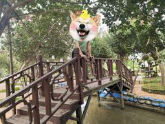 -武汉紫薇都市田园