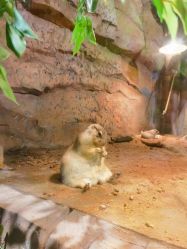 -Zoolung Zoolung动物主题公园(海信广场店)