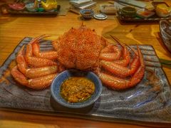 -鲤·鮨KOISUSHI