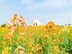 -东钱湖旅游度假区