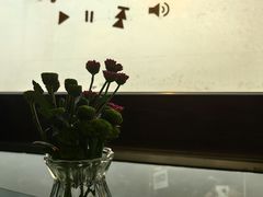 -青岛电视塔
