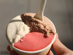 -Dip in Gelato(富民路店)