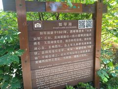 -庐山风景区花径公园