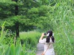 -溱湖国家湿地公园