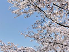 -龙美术馆(西岸馆)