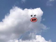 -多嘴超级肉蟹煲(欧亚卖场店)