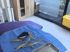 -维乐口腔(格林门诊长宁店)