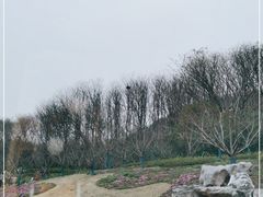 -幕燕滨江·长江观音景区