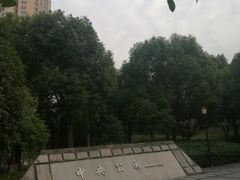 -重庆市江北嘴中央商务区中央公园