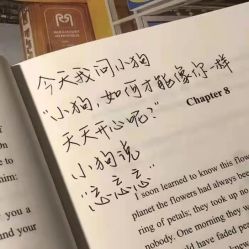 点击看大图 -凡碧诗毛孔清洁收细