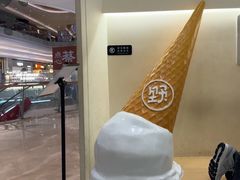 -野人先生现做冰淇淋(深圳壹方城店)