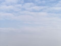 -洋湖国家湿地公园