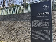 -东莞植物园