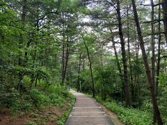 -帽儿山国家森林公园