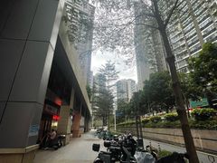 -天虹购物中心(深圳龙华店)