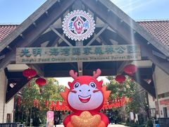 -上海海湾国家森林公园