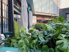 景观位-Jardin D’Hiver宝诗龙后花园(北京SKP店)