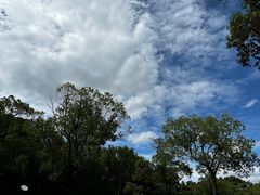 -上海吴淞炮台湾国家湿地公园